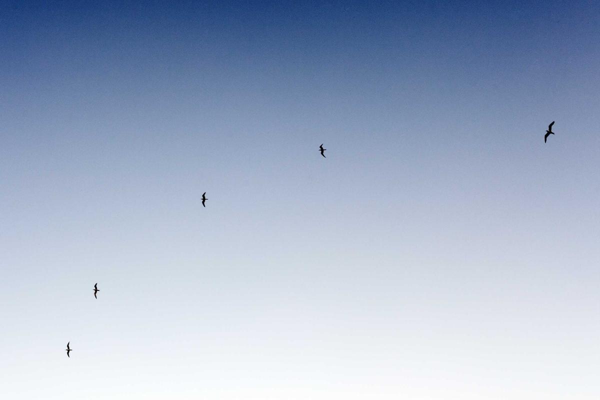 Boise Income Residences