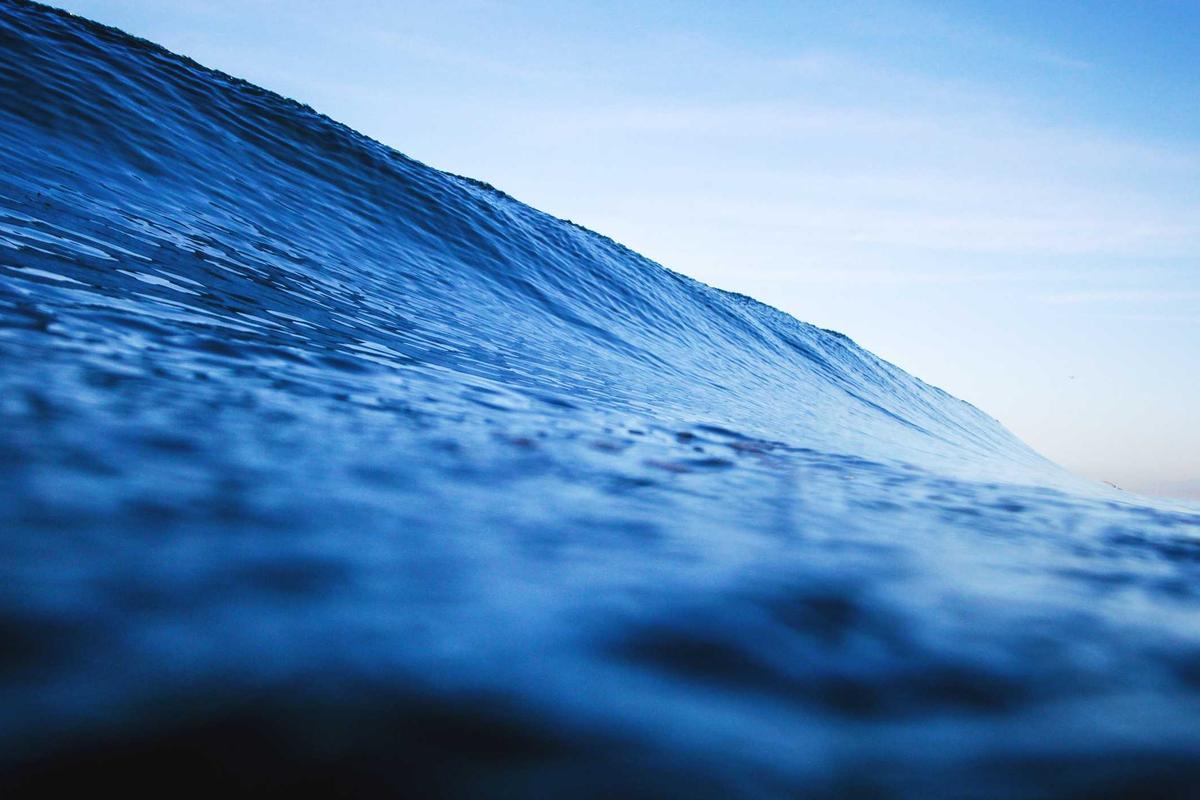 Chicago Market House