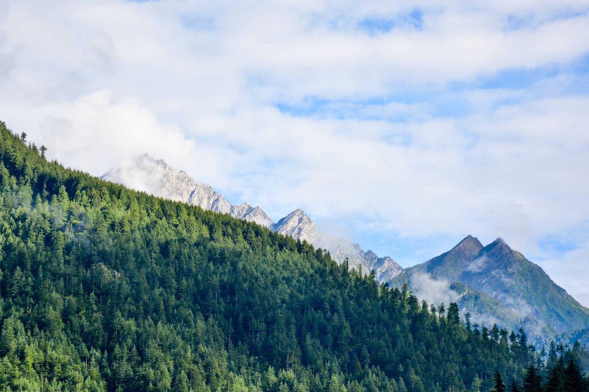 Billings Skyline Asset