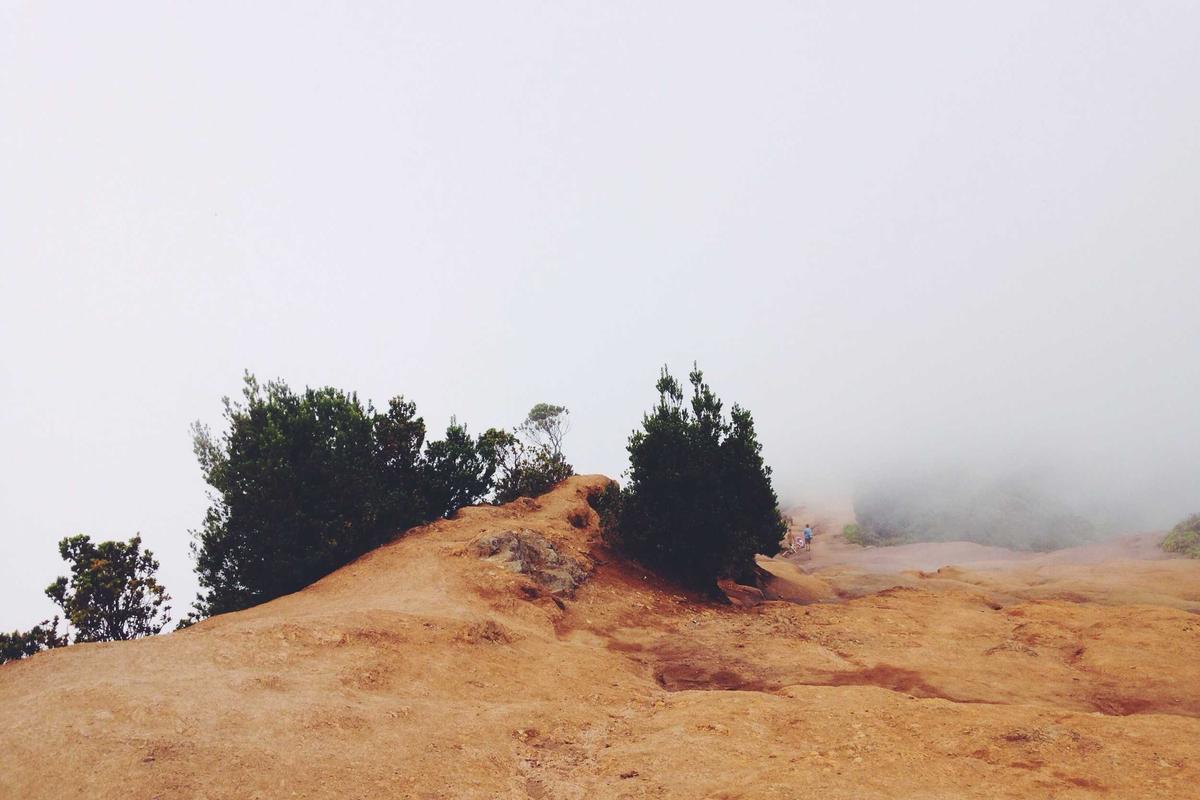 Philadelphia Skyline Asset